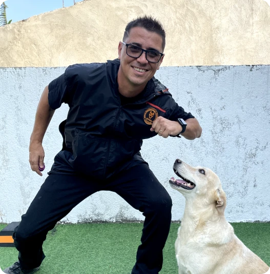 Método Cão Adestrado melhor curso adestramento de cães