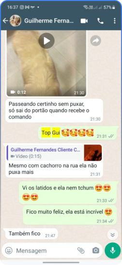 Método Cão Adestrado depoimentos e resultados reais