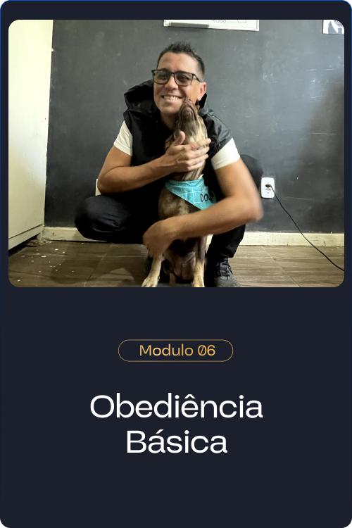 Método Cão Adestrado é bom?