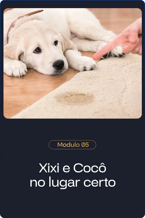 Método Cão Adestrado é melhor o curso de adestramento de cães 2025