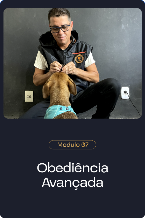 Método Cão Adestrado vale a pena comprar?