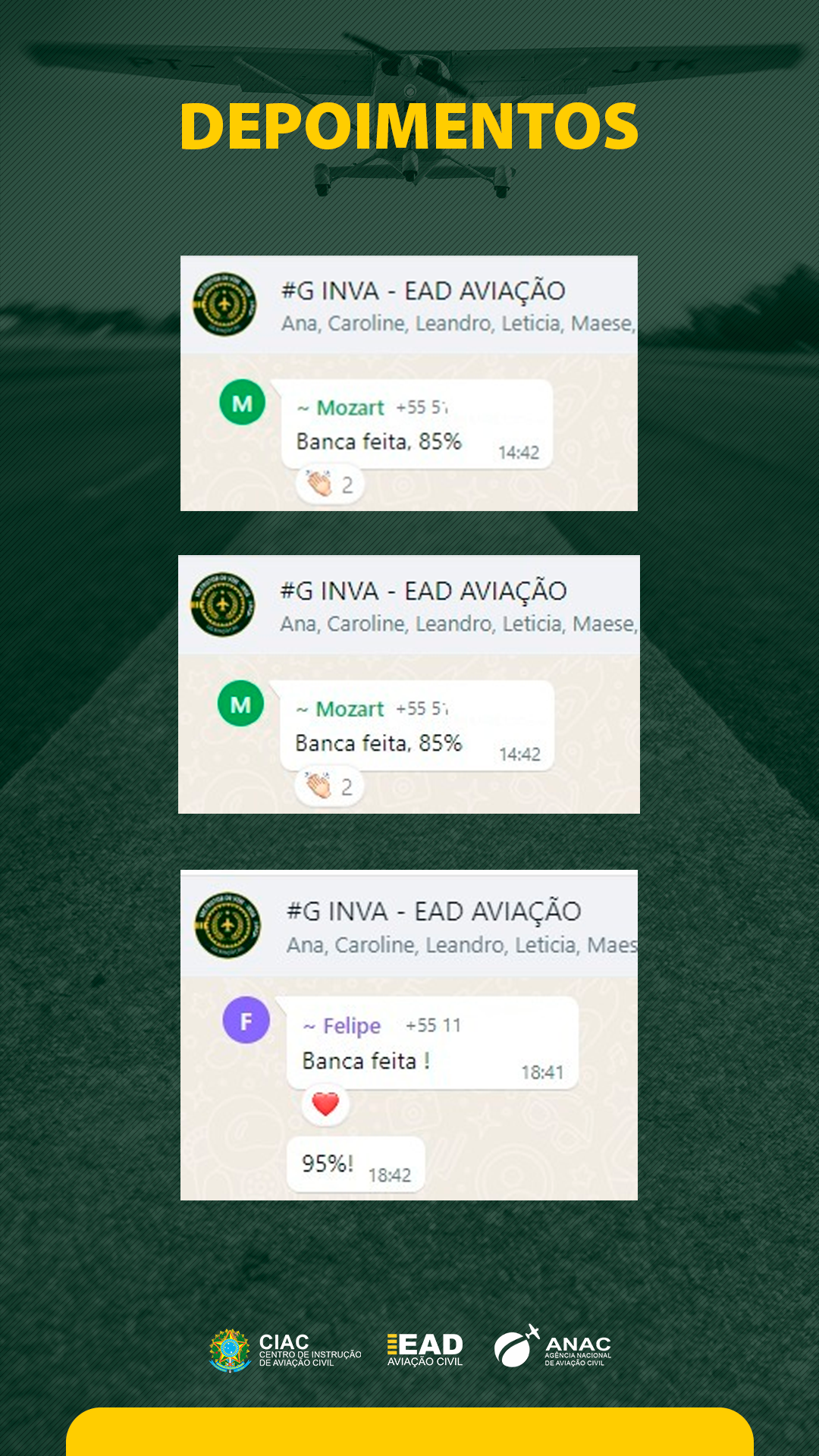 Curso Teórico Instrutor de Vôo depoimentos e resultados reais