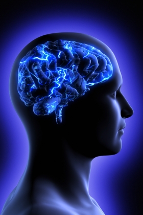 Formação em Psicanálise Holística Clínica é bom?